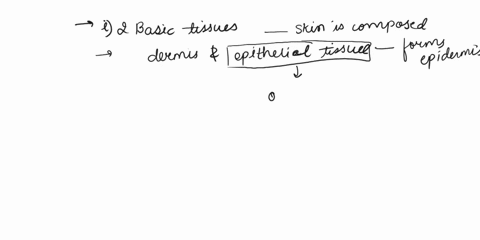 integumentary-system-1the-two-basic-tissues-of-which-the-skin-is-composed-are-dense-irregular-connective-tissue-and-loose-areolar-connective-tissueforming-the-dermisand-which-forms-the-epide-04344