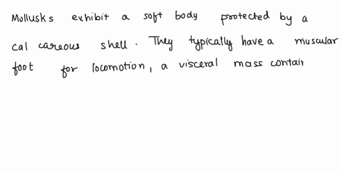 describe-the-morphology-and-anatomy-of-mollusks-2-40774