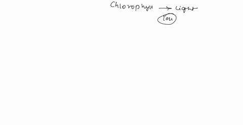 when-light-strikes-chlorophyll-molecules-in-the-photosystem-complexes-they-lose-electrons-which-are-ultimately-replaced-by-the-primary-electron-acceptor-water-removing-electrons-from-nadph-t-38616