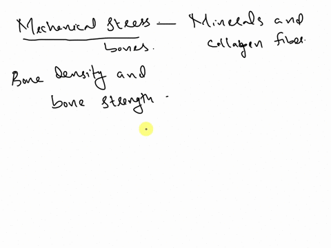 describe-the-specific-changes-seen-in-the-microscopic-anatomy-of-the-sponge-bone-in-response-t0-exercise_-based-on-your-explanations-what-would-you-expect-to-be-thicker-and-heavier-the-arm-b-03673