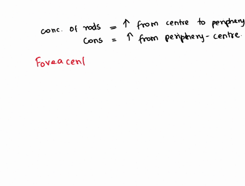 makingconnections-in-the-human-eye-the-distribution-of-rods-and-cones-varies-the-concentration-of-rods-increases-as-you-move-from-the-center-to-the-periphery-of-the-retina-on-the-other-hand-33679
