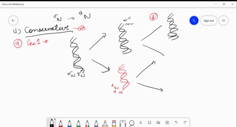 escherichia-coli-cells-are-grown-for-many-generations-in-a-medium-in-which-the-only-available-nitrogen-is-the-heavy-isotope-15n-they-are-then-transferred-to-a-medium-containing-14n-as-the-on-31063