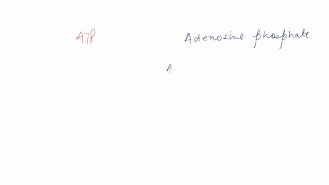 which-form-of-adenosine-phosphate-carries-the-most-potential-energy-a-atp-b-adp-c-amp-07676