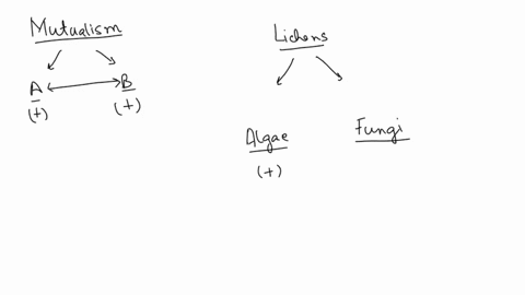 you-have-had-the-opportunity-to-study-view-and-learn-about-various-symbiotic-relationships-that-exist-throughout-ecosystems-please-choose-one-type-of-relationship-and-define-what-happens-in-19217