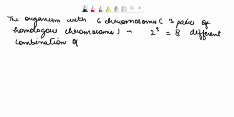 an-organism-has-6-chromosomes-2n6-or-3-pairs-of-homologous-chromosomes-assuming-no-crossing-over-occurs-how-many-different-combinations-of-maternal-and-paternal-chromosomes-would-be-possible-33116