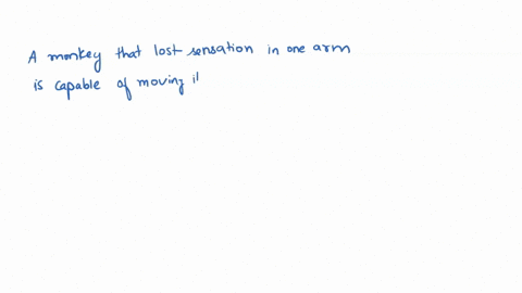 a-monkey-that-loses-sensation-from-one-arm-stops-using-it-but-a-monkey-that-loses-sensation-from-bot-16132