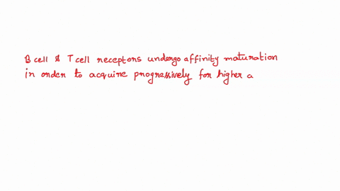 113-true-or-false-both-t-cell-and-b-cell-receptors-undergo-the-process-of-affinity-maturation-in-order-t0-acquire-progressively-higher-afintty-for-an-antigen-durng-an-immune-response-114-tru-90965