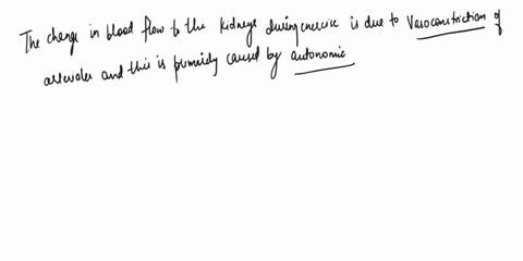 question-25-1-point-the-change-in-blood-flow-to-the-kidneys-during-exercise-is-due-to-arterioles-and-this-is-primarily-caused-by-regulation-kidney-vasodilation-metabolic-vasoconstriction-aut-33317
