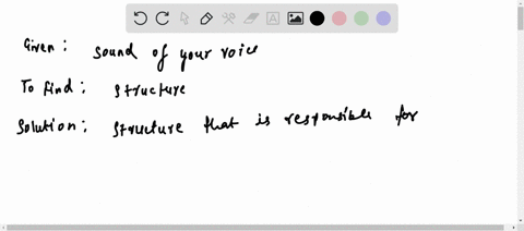 which-structure-is-specialized-to-produce-the-sound-of-your-voice