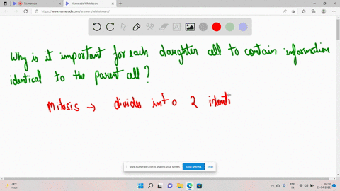why-is-it-important-for-each-daughter-cell-to-contain-information-identical-to-the-parent-cell-17697