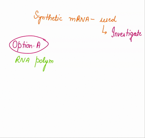 synthetic-mrnas-that-were-used-to-investigate-the-nature-of-the-genetic-code-were-synthesized-using-the-enzyme-rna-polyinerasc-reverse-transcripuase-replicase-polynucleotide-phosphorylase-rn-27104