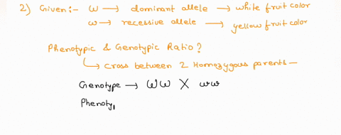key-red-rr-rr-white-rr-parents-genotypes-punnett-square-genotypes-genotype-ratio-phenotypes-phenotype-ratio-in-pea-plants-round-seeds-s-are-dominant-to-wrinkle-seeds-s-in-a-genetic-cross-of-44542