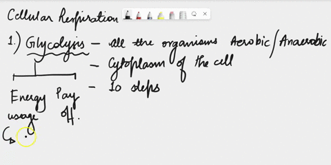 pts-which-statement-about-glycolysis-is-not-true-two-atp-are-consumed-and-four-are-produced-per-glucose-molecule-glycolysis-does-not-require-oxygen-in-eukaryotes-glycolysis-occurs-in-the-mit-74531