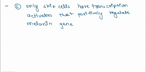genes-responsible-for-producing-melanin-determine-the-skin-color-of-humans-melanin-is-produced-in-skin-cells-but-not-in-nerve-cells-of-humans-what-could-determine-the-melanin-production-in-s-06896