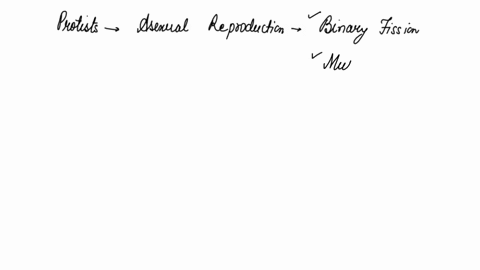 name-the-different-modes-of-asexual-reproduction-in-protists-79521
