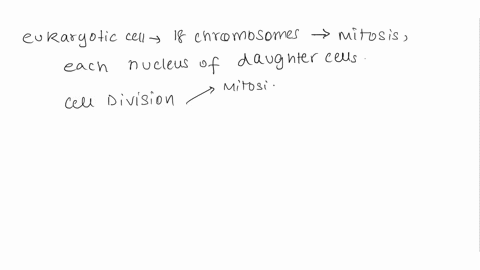 which-rna-carries-amino-acids-to-the-ribosome-during-translation-amrna-messenger-rna-brrna-ribosomal-rna-ctrna-transfer-rna-20213