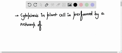 during-plant-cell-cytokinesis-a-network-of-parallel-microtubules-condenses-around-the-select-answer-cleavage-furrow-future-plane-of-division-contractile-ring-this-becomes-a-site-of-expansion-32742