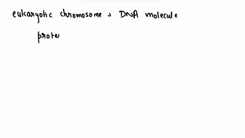 ch-eukaryotic-chromosome-consists-of-one-long-dna-molecule-wrapped-around-proteiz-is-combination-is-called-chromatin-most-of-the-time-chromatin-exists-as-diffuse-thre-ucture-which-too-thin-t-35907