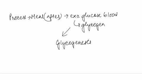name-the-process-used-when-glucose-is-in-abundant-supply-as-after-a-meal-most-of-the-glucose-molecules-are-not-oxidized-immediately-but-rather-are-stored-as-glycogen-a-glycogenesis-b-glycoge-79816