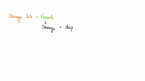 the-temporary-storage-site-for-enzymes-released-by-the-cell-membrane-fili-in-the-blank-vacuole-membrane-25344