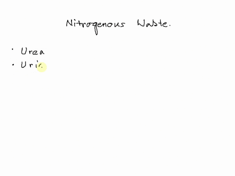 excess-nitrogenin-organisms-can-be-excreted-a-molecule-that-is-not-an-excreted-form-of-nitrogen-is-a-urea-b-ammonia-c-uric-acid-d-arginine-90645