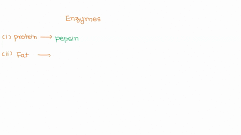 give-name-of-the-enzymes-of-given-substrate-lactose-maltose-cellulose-lipids-starch-protein-12217