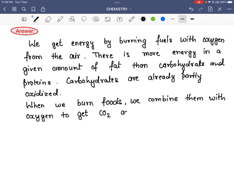 why-are-fats-a-good-source-of-energy-for-storage-in-the-body-43913