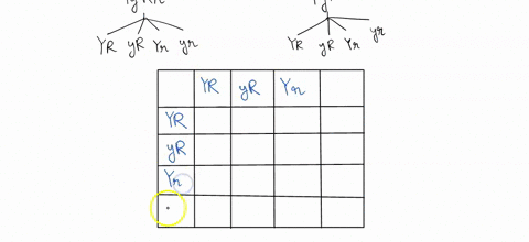 question-3-what-is-the-phenotypic-ratio-resulting-from-a-dihybrid-cross-of-two-heterozygote-individuals-showing-independent-assortment-is-expected-to-be-edr-vicve-inscn-fonmat-tools-tablc-12-50364