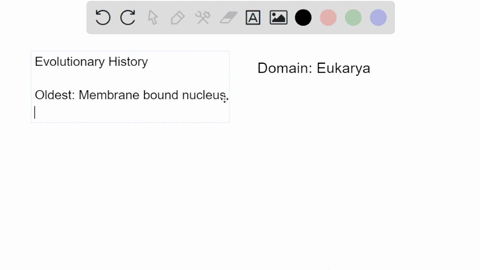 place-the-following-characteristics-in-order-based-on-their-evolutionary-lineage-with-the-oldest-characteristics-placed-first-drag-the-text-blocks-below-into-their-corect-order-the-developme-49835
