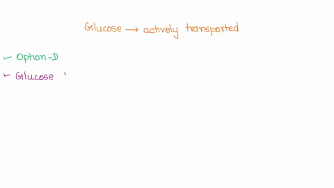 queshon73-if-glucose-has-been-actively-transported-by-the-intestine-through-normal-glucose-transport-then-glucose-concentration-in-the-serosal-solution-should-decrease-glucosc-is-transported-72008