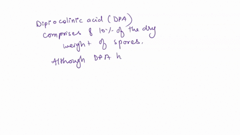 dipicolinic-acid-is-an-important-component-of-_____-a-gram-positive-archaeal-walls-b-cytoplasmic-mem-11932