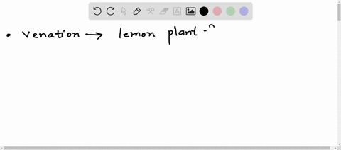 which-type-of-venation-is-present-in-the-leaves-of-lemon-plant-90294