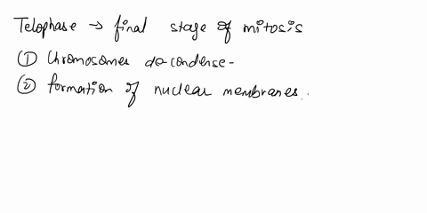 describe-the-events-that-occur-in-telophase-89097