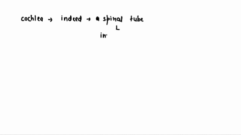 a-cochlea-is-a-spiral-tube-in-the-inner-ear-containing-nerve-endings-necessary-for-hearing-a-true-b-false-18696