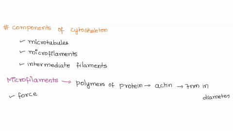 describe-the-components-of-the-cytoskeleton-comparing-and-contrasting-microtubule-and-microfilament-based-systems-discuss-the-roles-of-the-cytoskeleton-in-different-types-of-movement-and-phy-97249