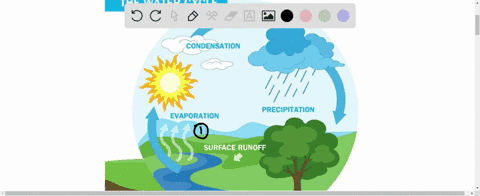 identify-the-stages-of-the-water-cycle-where-water-moves-downward-from-the-force-of-gravity-93766