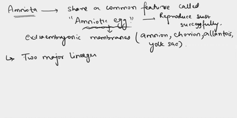the-two-major-lineages-that-make-up-the-living-amniota-are-reptiles-and-__________-83002