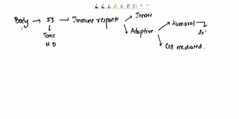 which-of-the-given-alternatives-isare-most-associated-with-cellular-immunity-select-one-a-b-cells-b-hepatocytes-tcells-and-cytokines-d-antibodies-46498