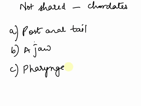 which-of-the-following-is-not-a-trait-shared-by-all-chordates-select-one-a-a-post-anal-tail-b-a-jaw-c-pharyngeal-slits-d-a-notochord-e-a-dorsal-hollow-nerve-chord-40388
