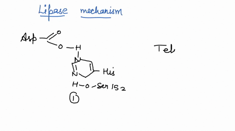 part-3_-lipase-mechanism-pts-add-arrows-and-missing-tetrahedral-intermediates-in-mechanism_-asptt6-asp76-tetrahedral-intermedibre-oacyl-oacyl-louts3-louje3-asp76-onc-l-dacvi-hiszej-hzo-oacyl-33391
