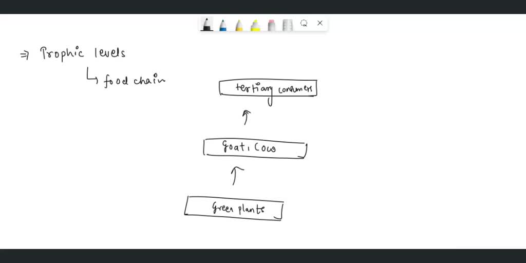SOLVED What are trophic levels? What is the difference between bottom