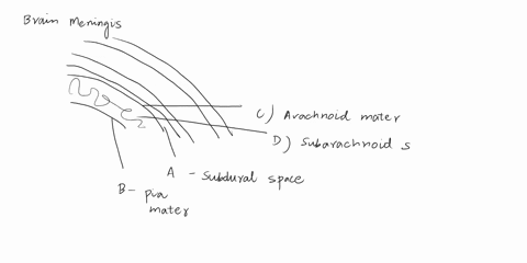 part-a-questions-1-5-drag-and-drop-the-structure-names-at-the-left-to-match-the-appropriate-descriptions-at-the-right-some-labels-may-be-used-more-than-once-or-not-at-all-see-reference-figur-68282
