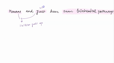 explain-the-fact-that-species-as-diverse-as-humans-and-yeasts-use-the-same-biochemical-pathways-to-5-92014