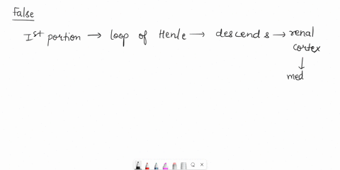 1-the-first-portion-of-the-loop-of-henle-dips-into-the-medulla-where-it-called-the-ascending-limb-of-the-loop-of-henle-true-or-false-2-a-juxtamedullary-nephron-usually-has-its-glomerulus-dee-93536