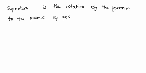 supinalion-iha-rotulion-ie-lorearm-thc-palms-cotnpoabon-false-12-wnich-plane-malan-dous-honyard-tunge-iake-pbae-n-trnsacrsc-frontal-sagittal-ol-the-above-13-wnich-plane-motion-does-latera-lu-86429