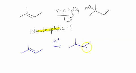 what-is-the-nucleophile-in-the-reaction-shown-below-s0-tsomio-ho_-water-hydroxide-carbocation-hydroniumi-73266