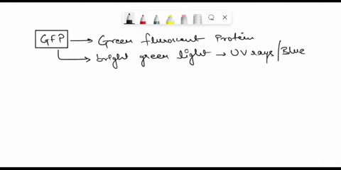 scientists-want-to-design-fluorescent-marker-proteins-different-cellular-compartments-using-the-green-fluorescent-protein-gfpf-this-means-that-the-gfp-will-be-targeted-and-glow-at-the-organe-89761