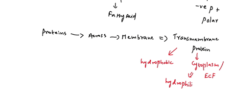 the-basic-membrane-is-made-of-a-phospholipid-cellulose-peptidoglycan-biilayer-consisting-of-2-layers-of-phospholipids-a-phospholipid-consists-of-a-polar-glycerol-_-fatty-acid-phosphate-group-82558