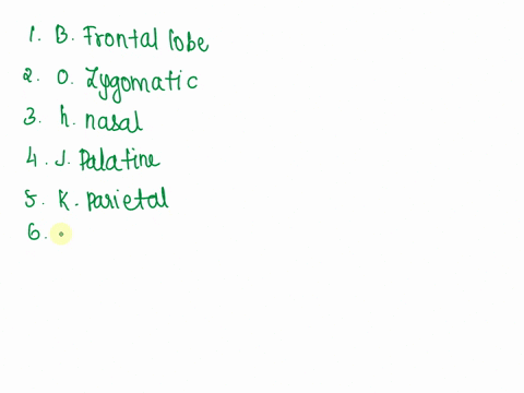 he-skull-firstmatch-the-bone-names-in-column-b-with-the-descriptions-in-column-athe-items-in-column-b-may-be-used-more-than-once-thencircle-the-bones-in-column-b-that-are-cranial-bones-colum-54583