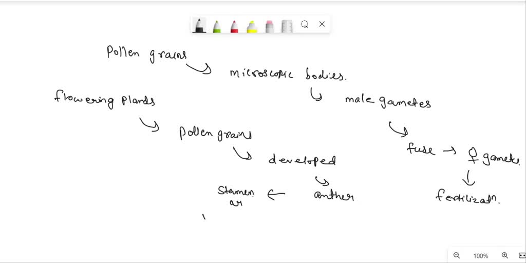 SOLVED: 'Which Structure Shows Where Pollen Grains Develop? A ...